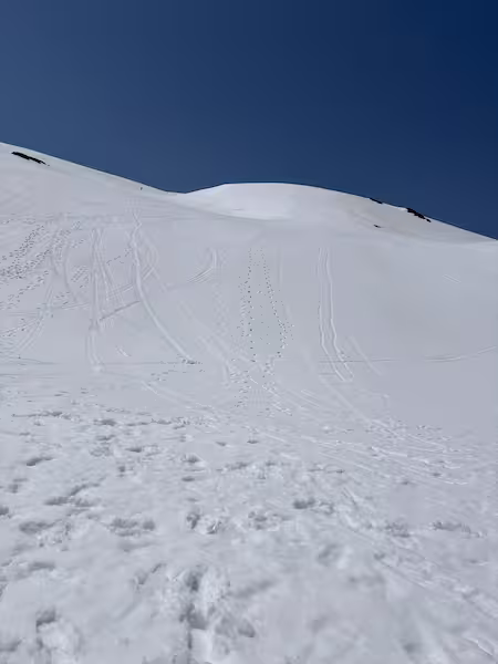 東の山