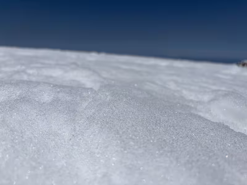 雪質