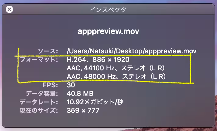 ムービーインスペクタ